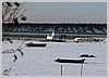 Boats lie on top of frozen shallow bay